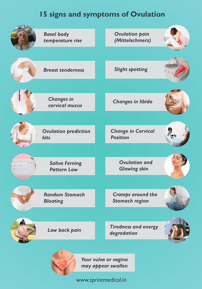 15 signs and symptoms of Ovulation