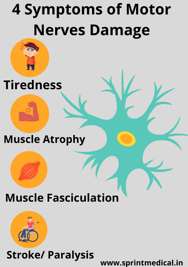 4 Symptoms of Motor Nerves Damage
