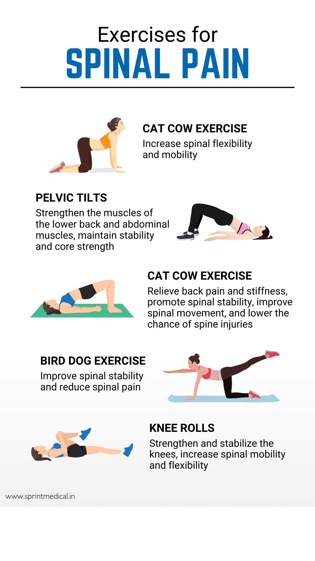 5 Exercises for Spinal Pain