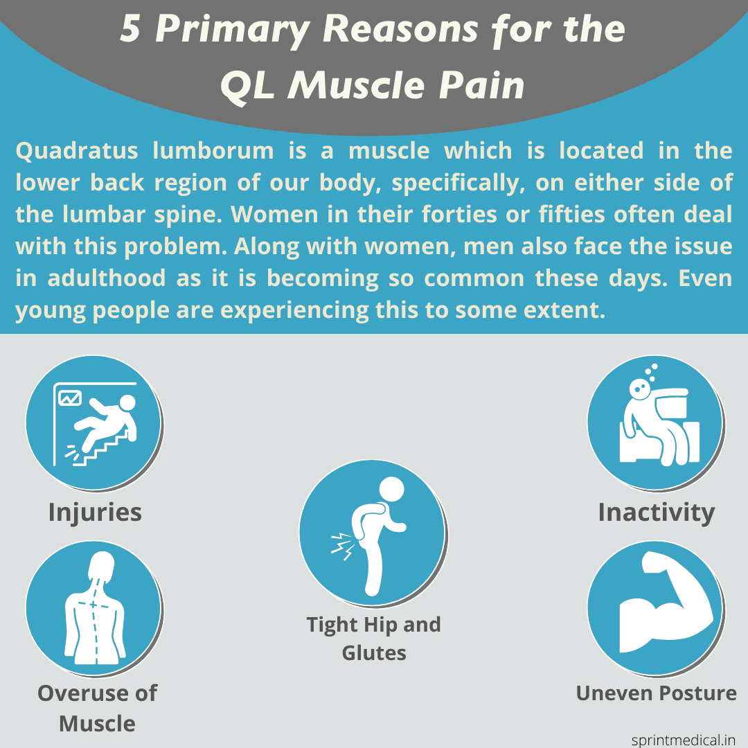 5 Primary Reasons for the QL Muscle Pain