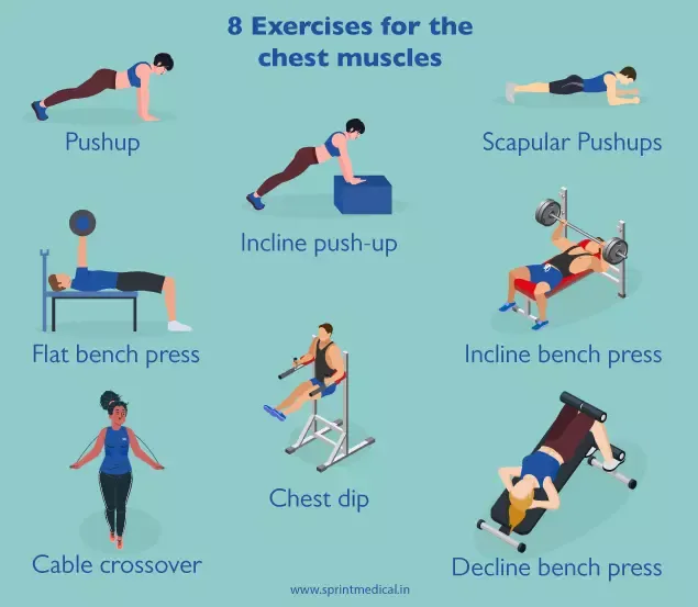 8 Exercises for the Chest Muscles