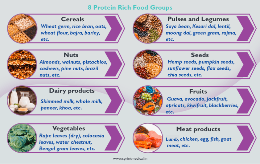 8-Protein-Rich-Food-Groups