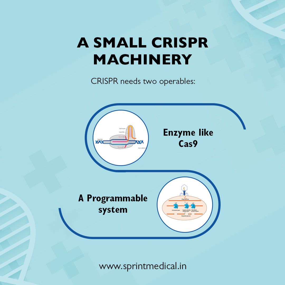 A SMALL CRISPR MACHINERY