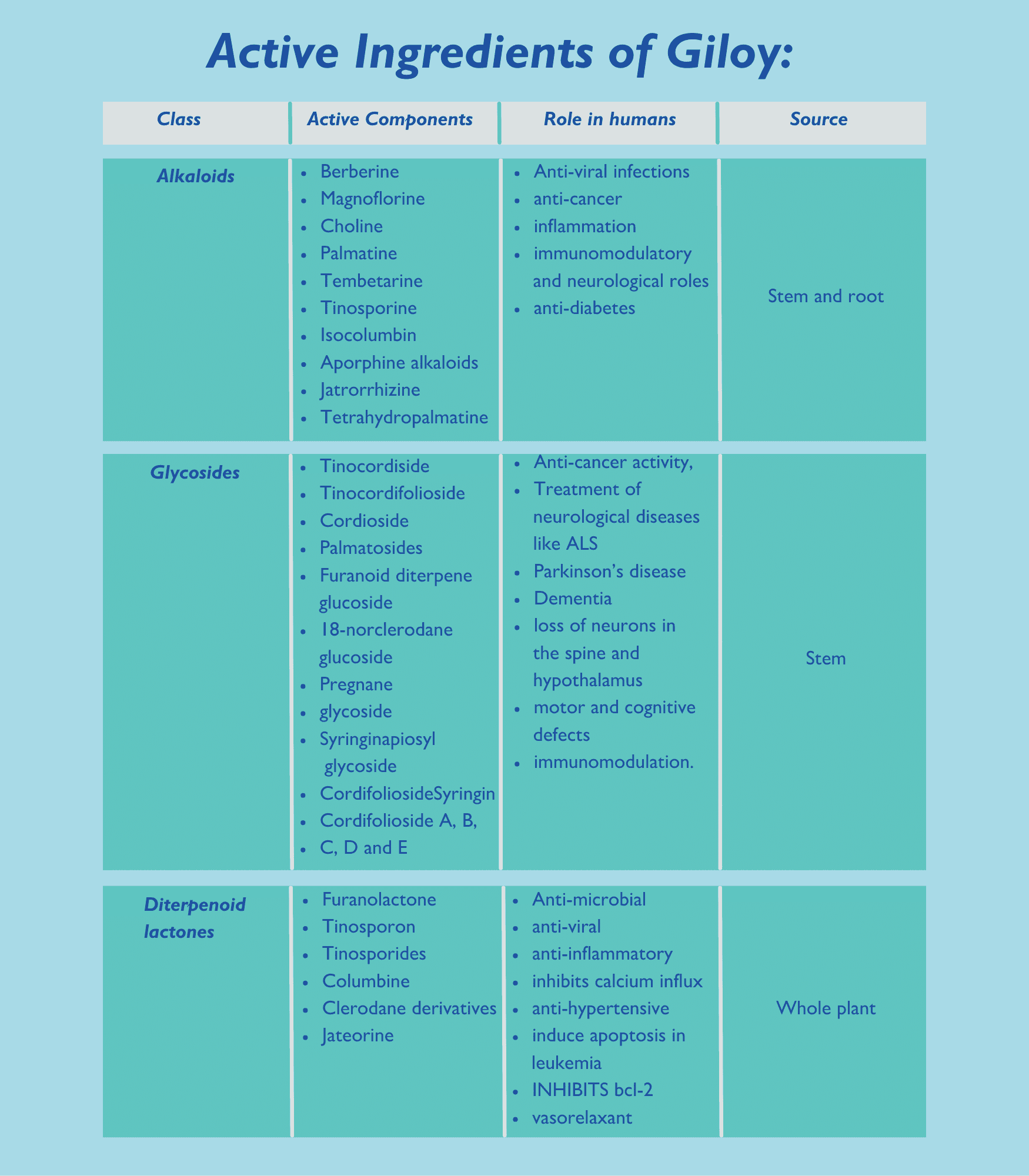 Active Ingredients of Giloy 