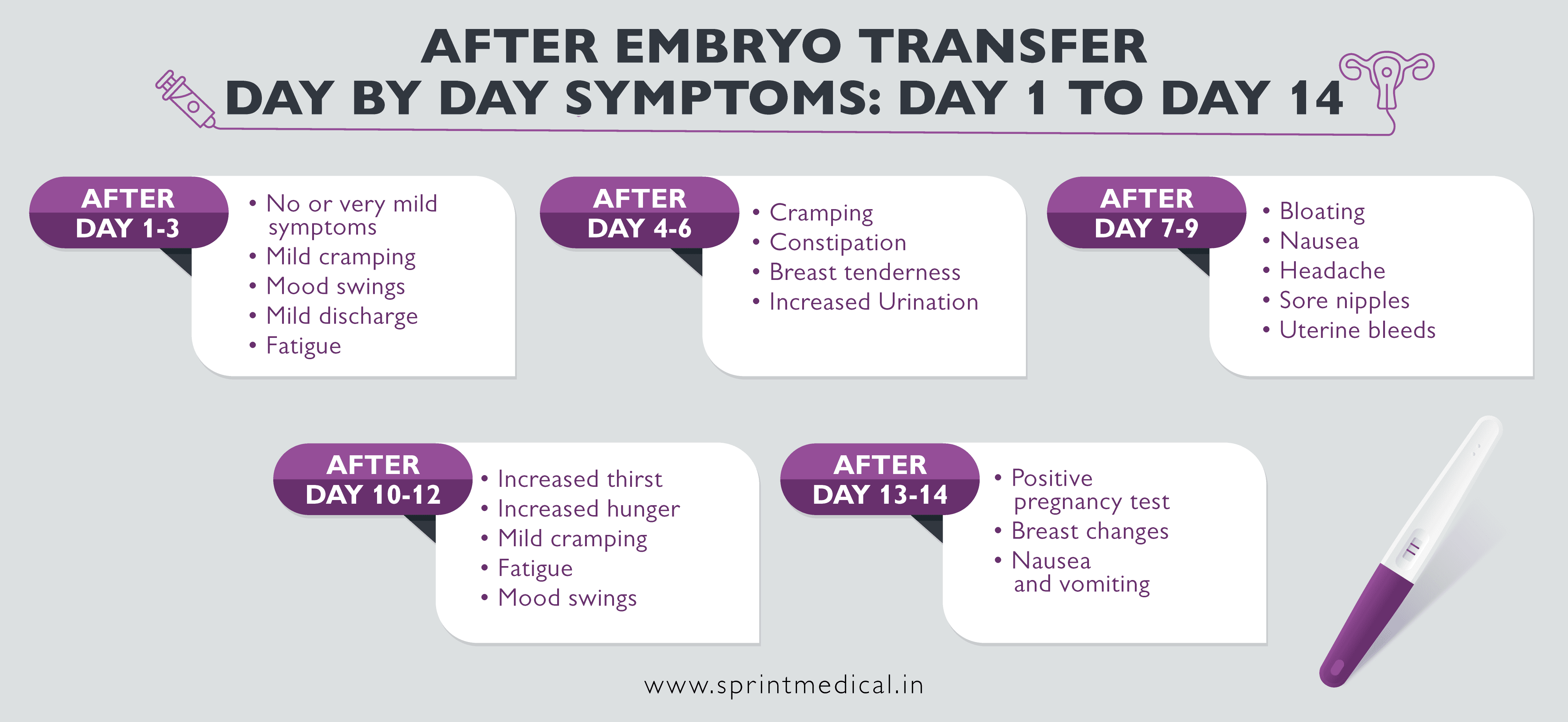 After Embryo Transfer Day by Day Symptoms Day 1 to Day 14 
