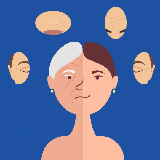 Anti-ageing property