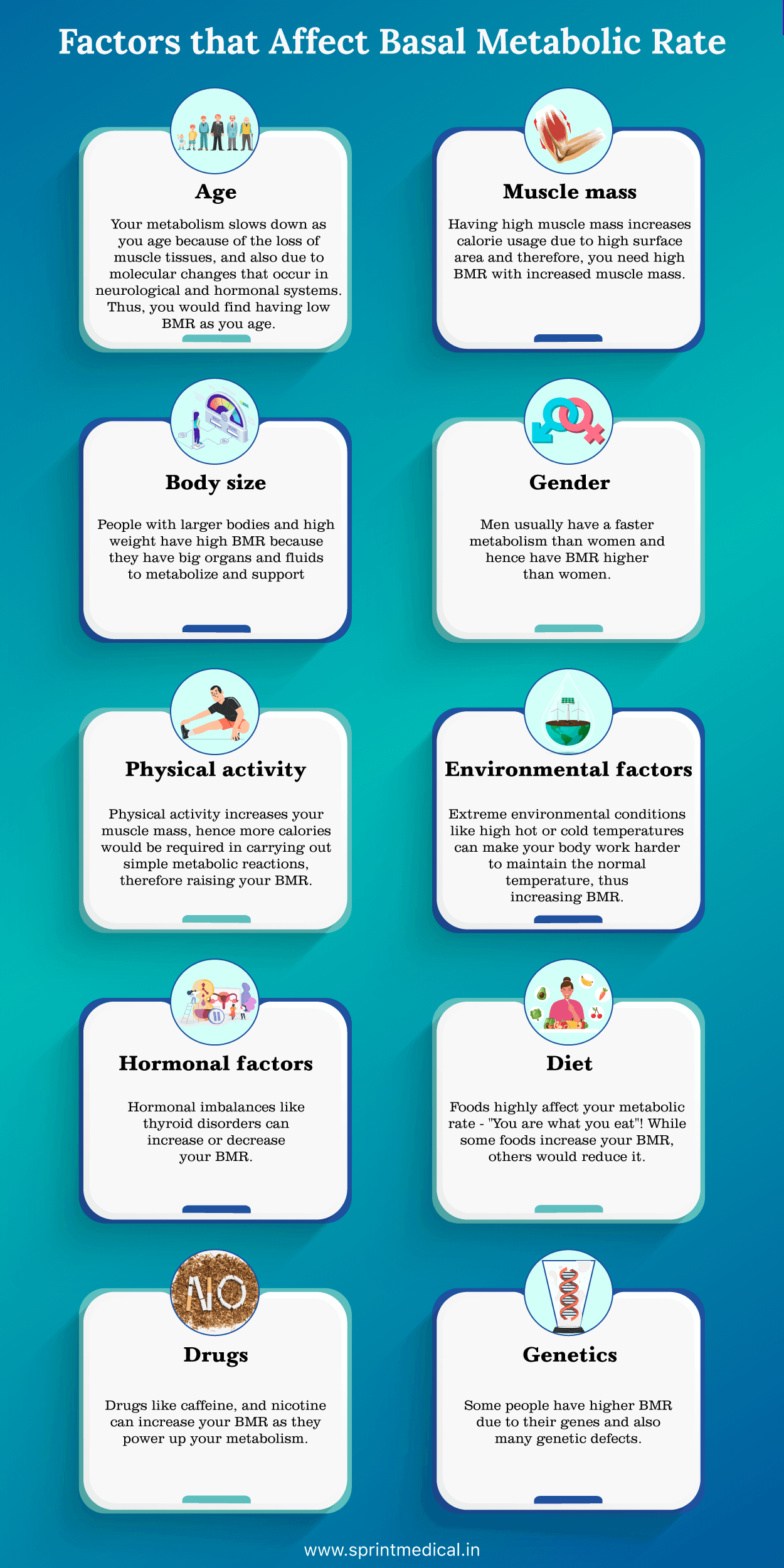 Basal Metabolic Rate