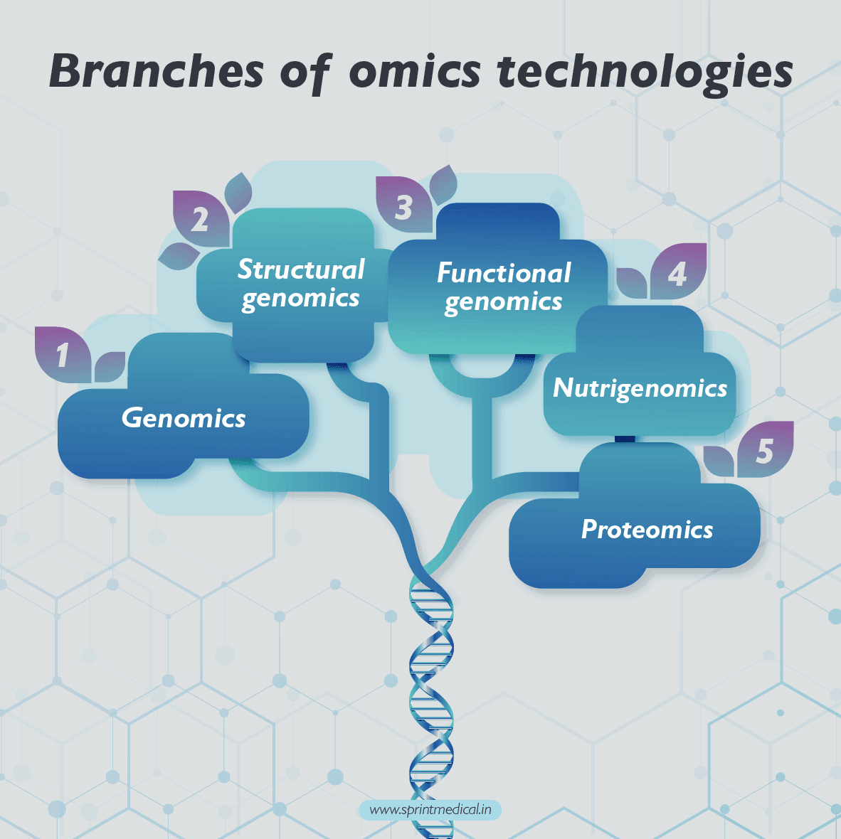Branches of omics technologies