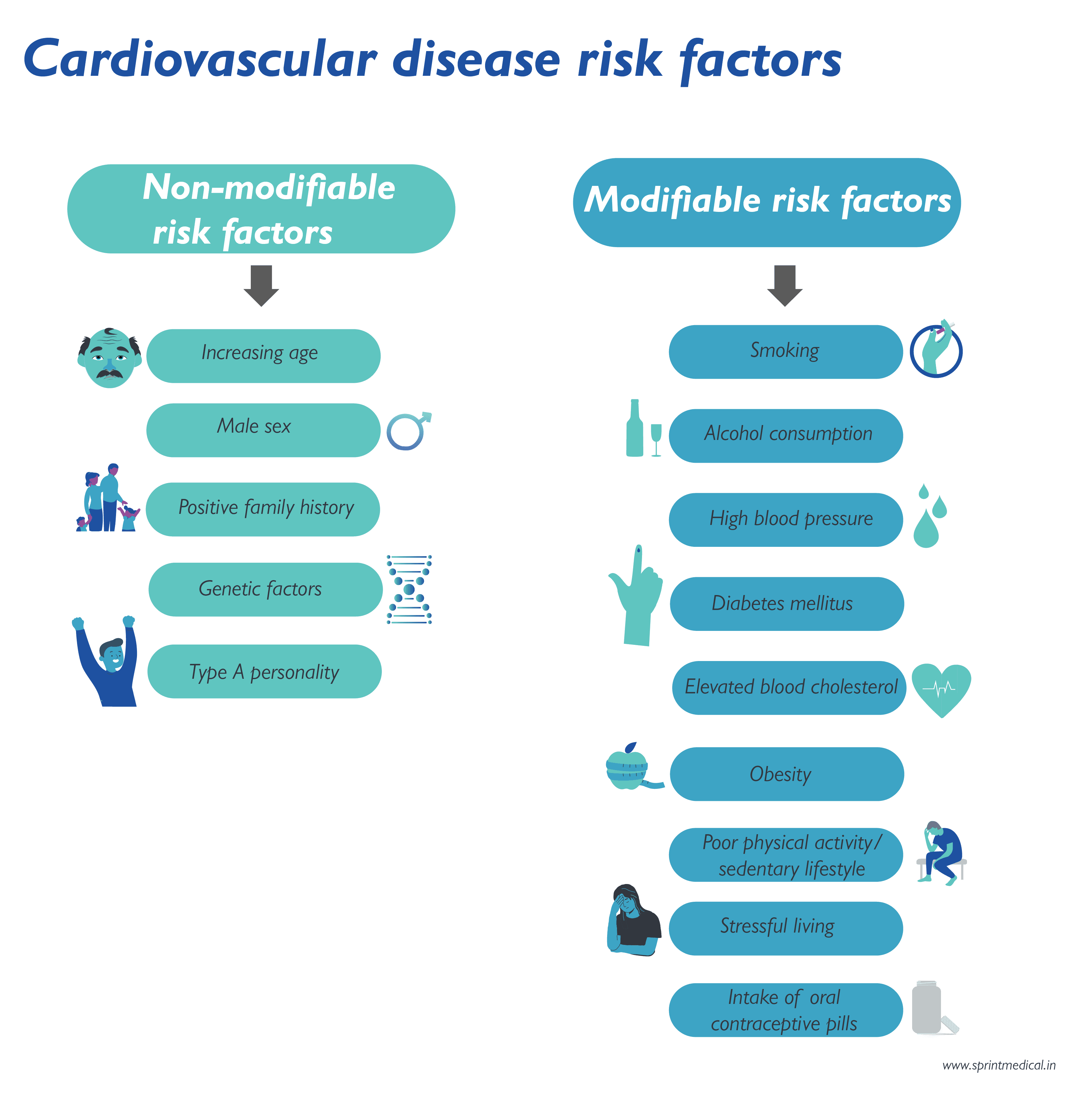 Cardiovascular disease risk factors