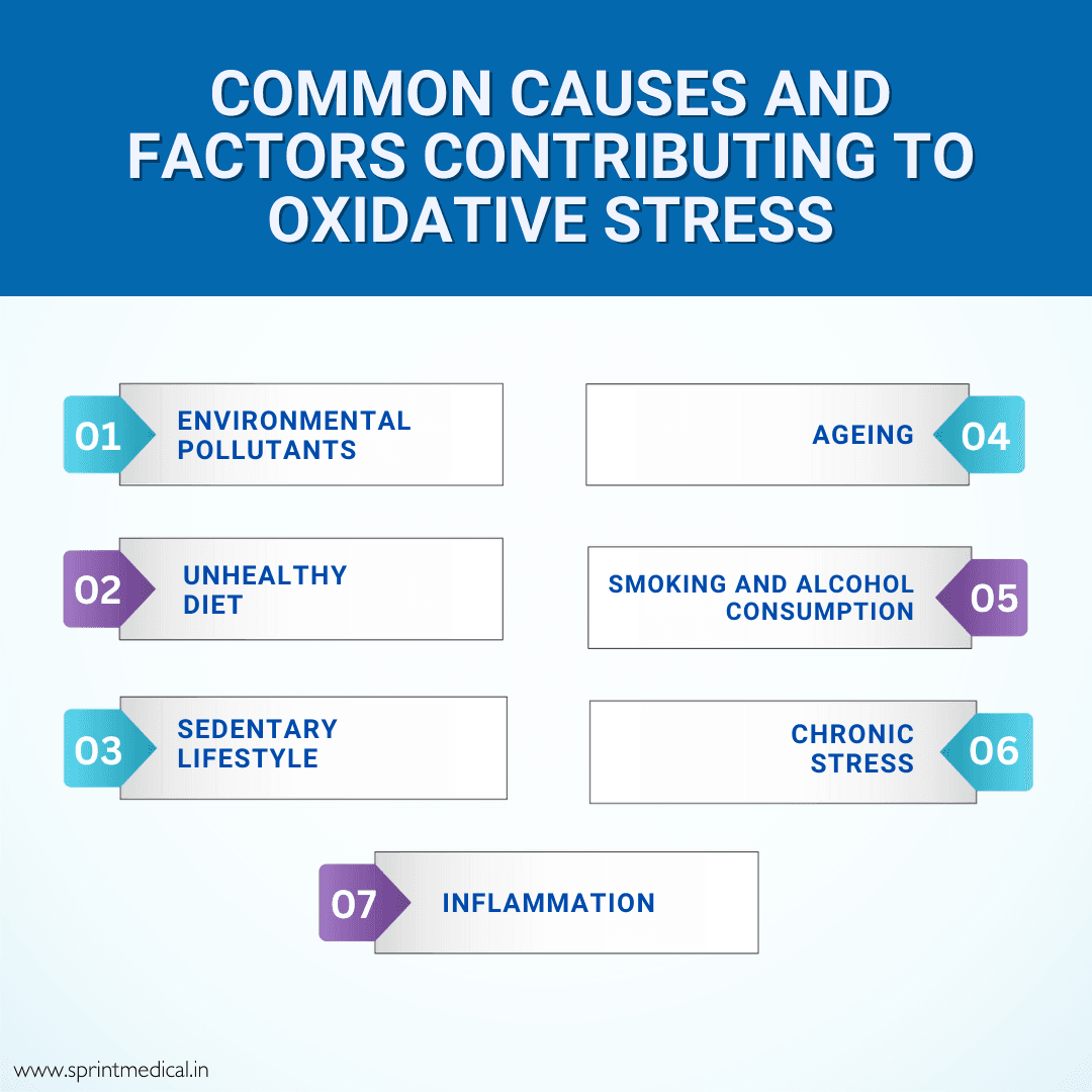 Common Causes and Factors Contributing to Oxidative Stress