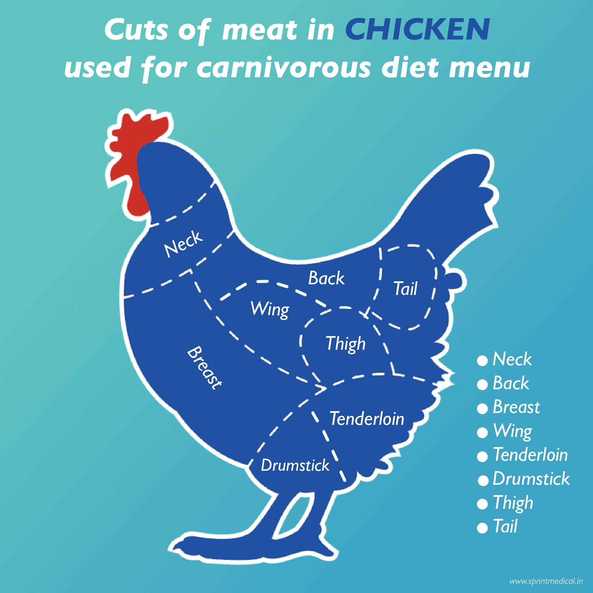 Cuts of meat in CHICKEN used for carnivorous diet menu