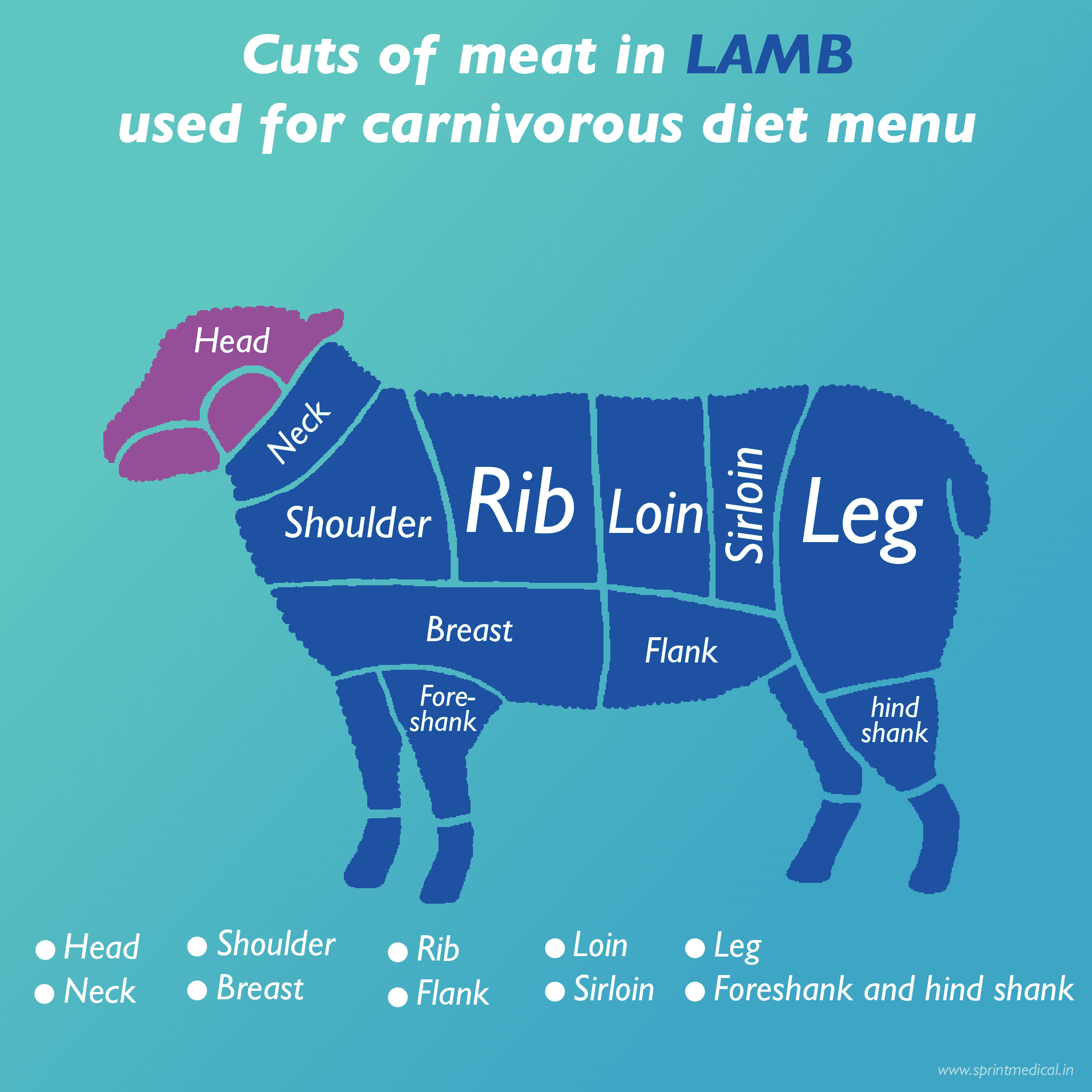 Cuts of meat in Laamb used for carnivorous diet menu