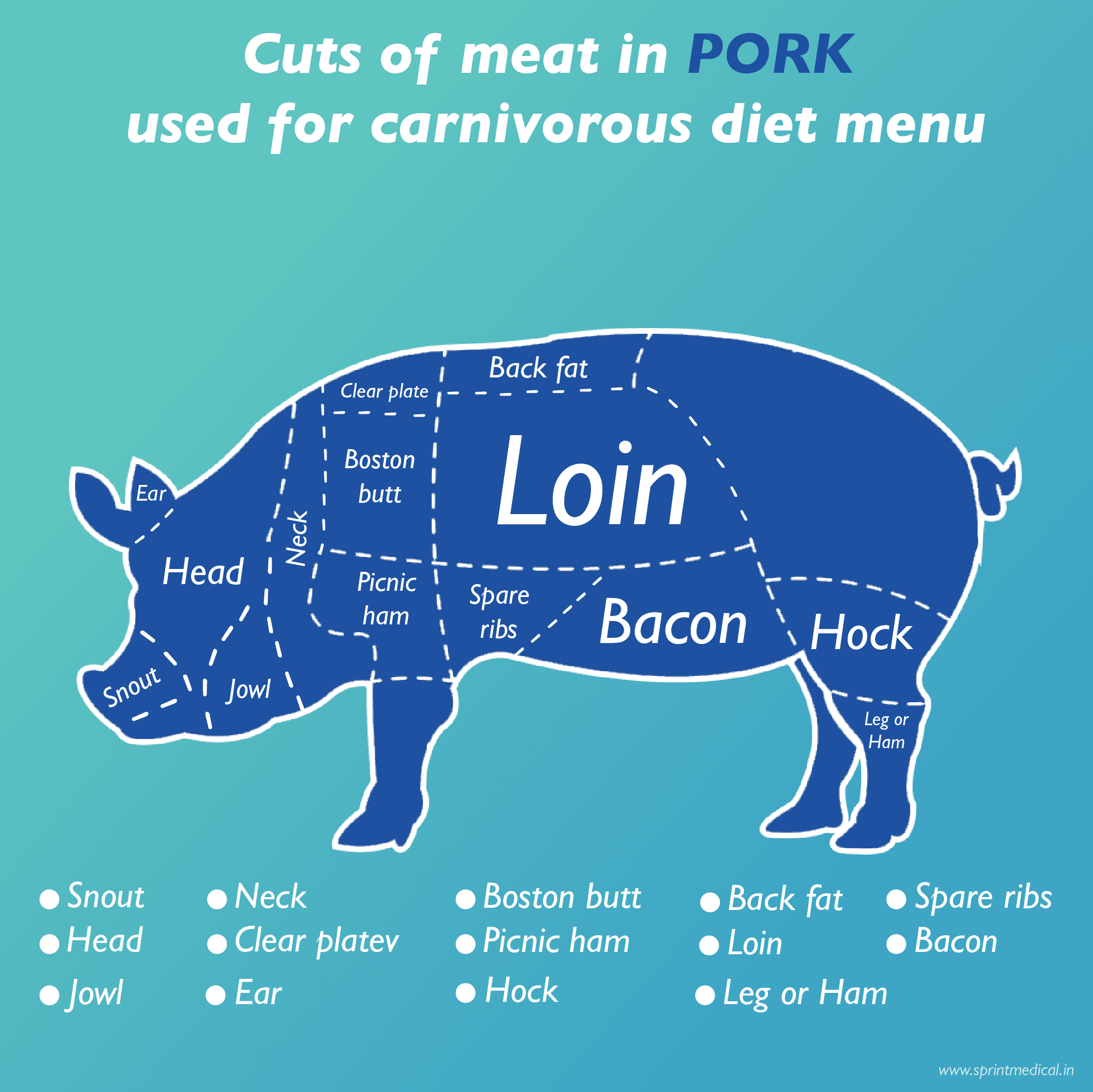 Cuts of meat in Pork used for carnivorous diet menu