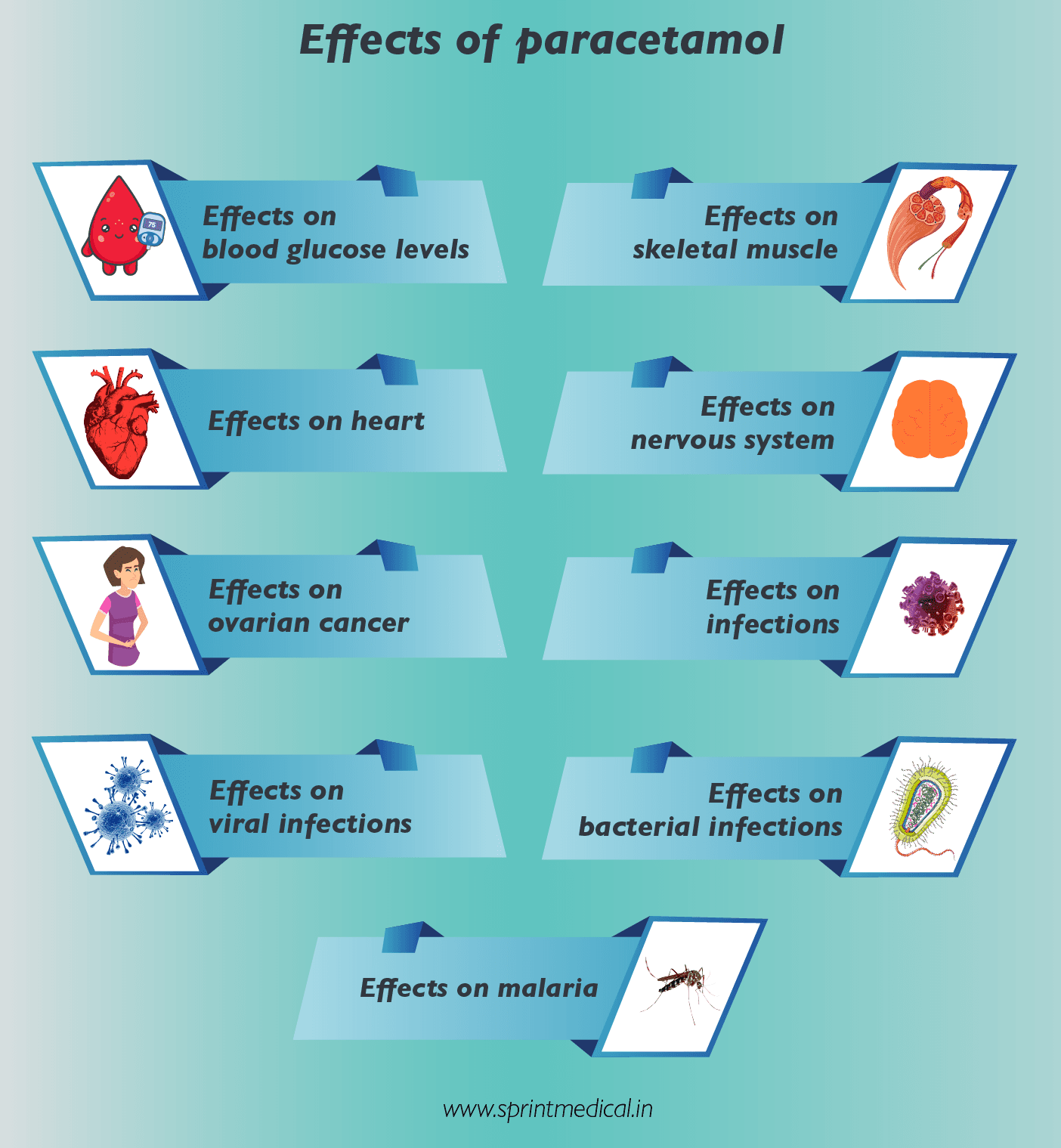 Effects of paracetamol