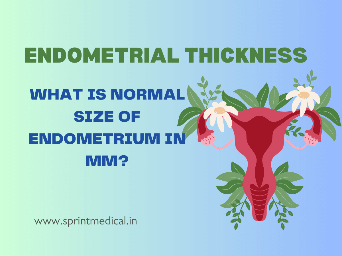 Endometrial-Thickness-What-is-Normal-Size-of-Endometrium-in-mm.png