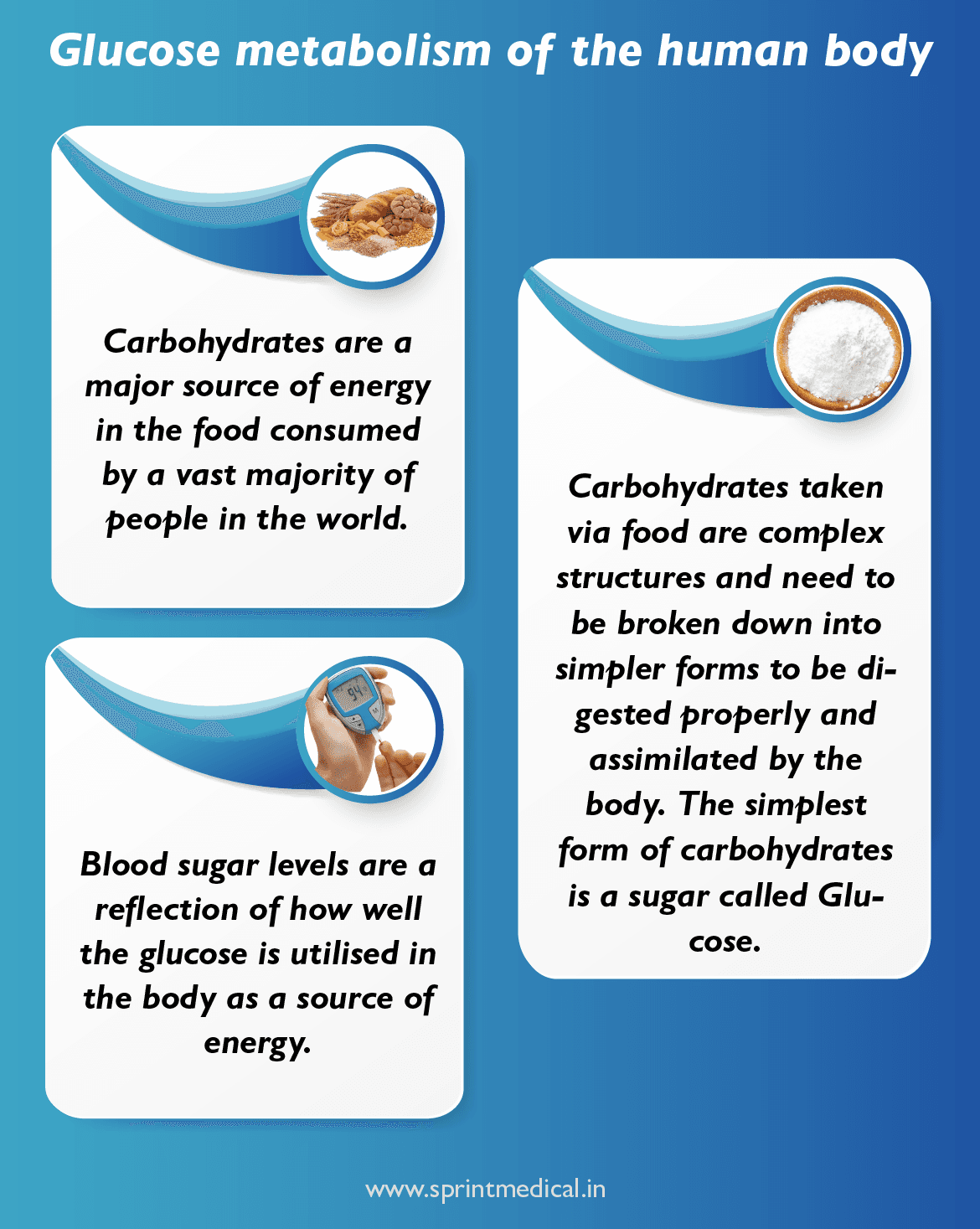 Glucose metabolism of the human body