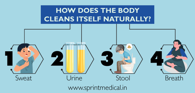 HOW DOES THE BODY CLEANS ITSELF NATURALLY