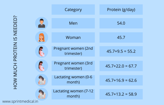 HOW MUCH PROTEIN IS NEEDED