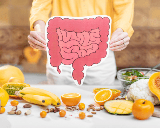 Health Tips on how to Improve your Digestive Health