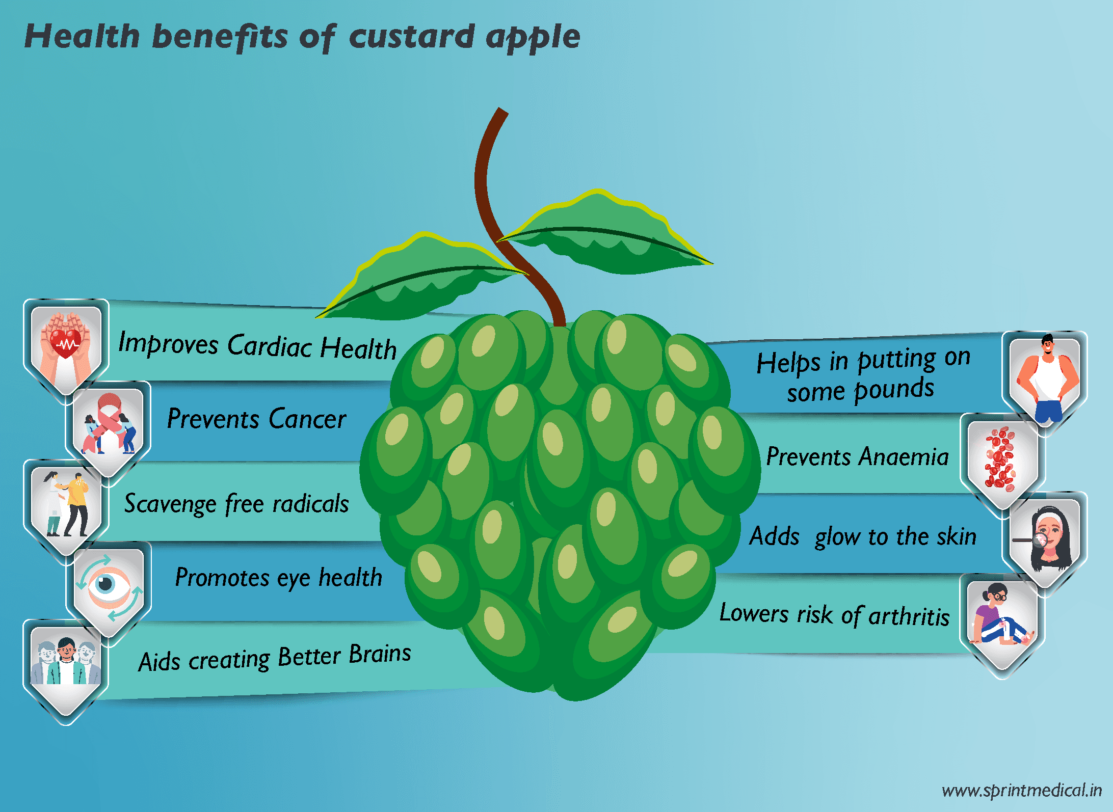 9 Health benefits of Custard Apple