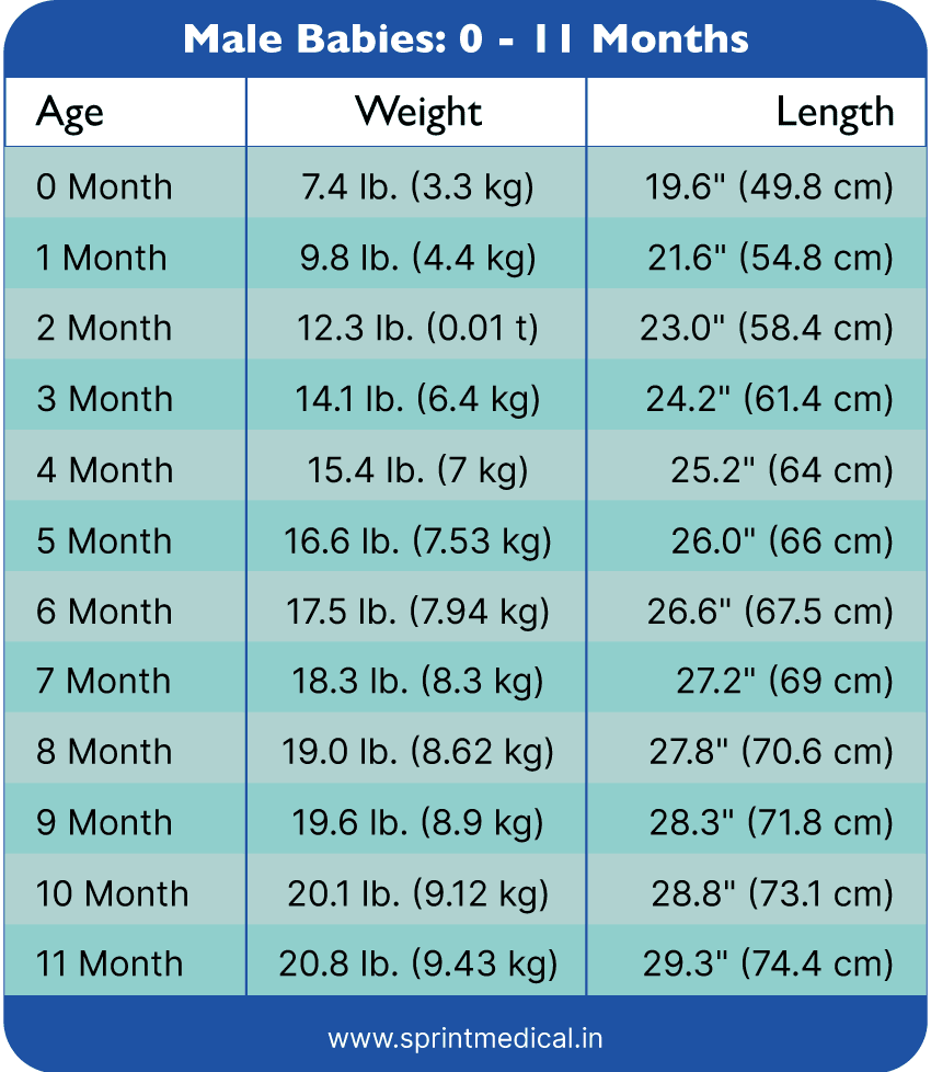 Weight Chart for Male Babies: 0 - 11 Months