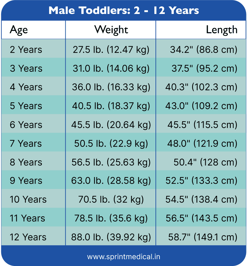 Weight Chart for Male Children: 2 - 12 Years