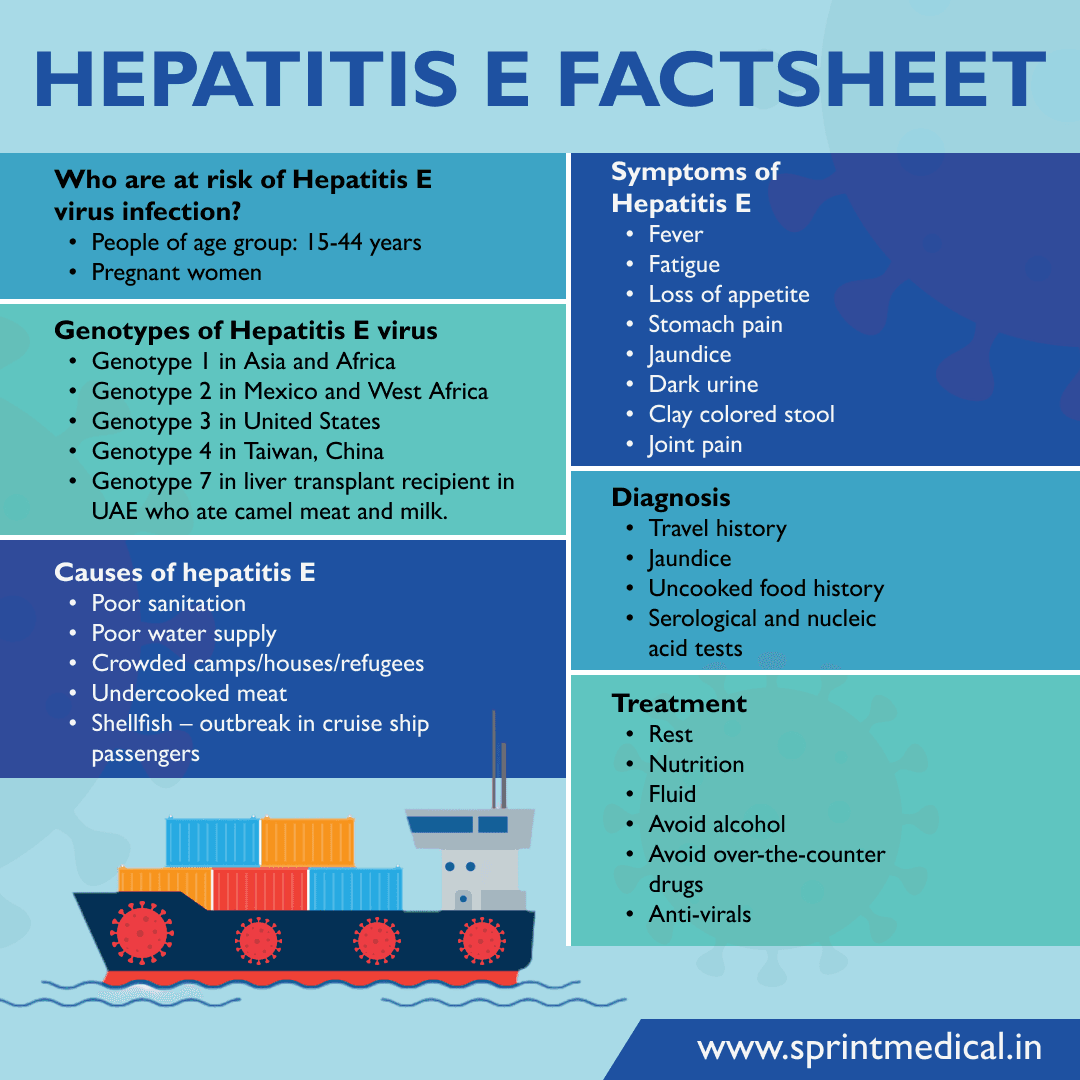 Hepatitis E Factsheet
