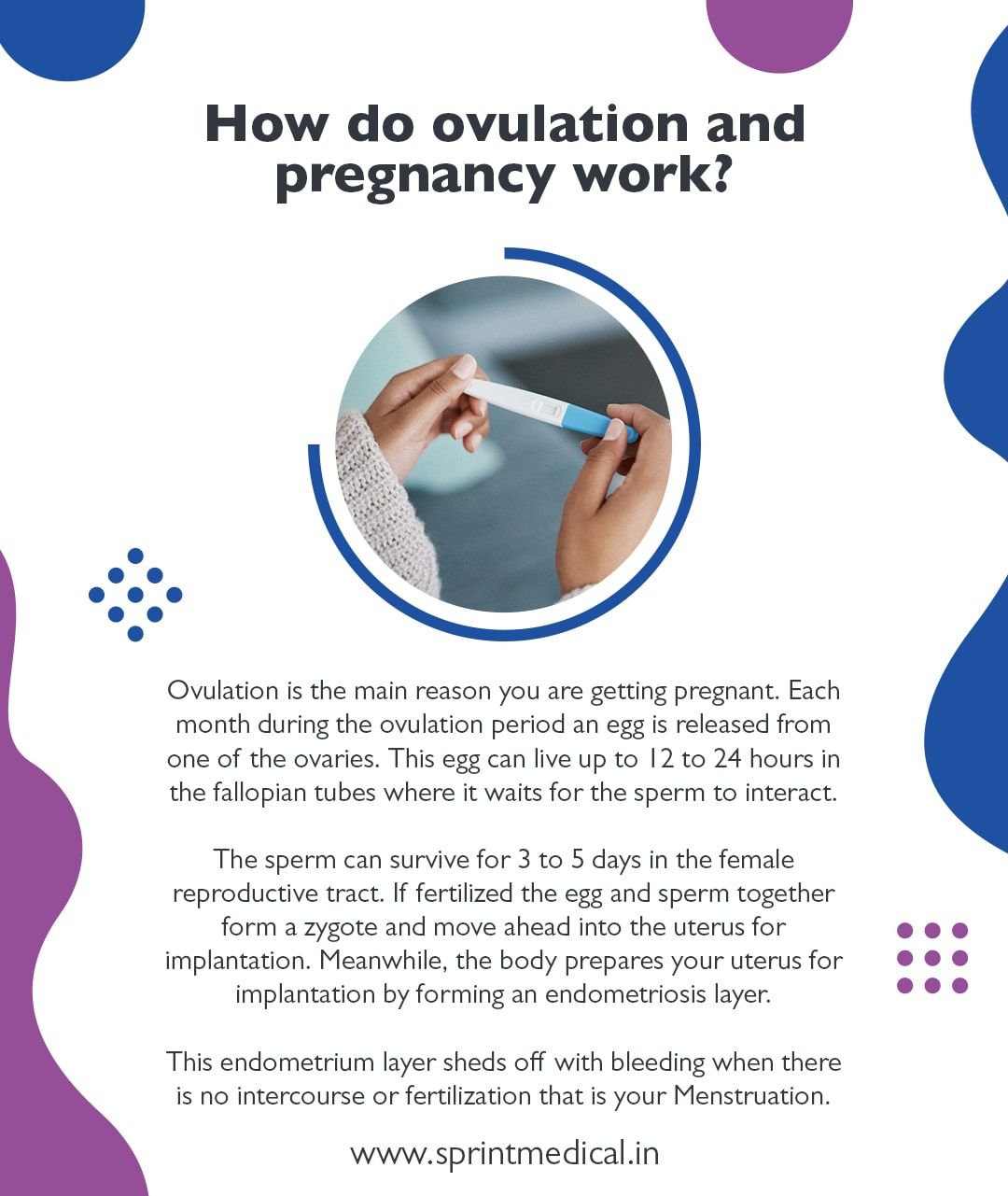 How do ovulation and pregnancy work-min