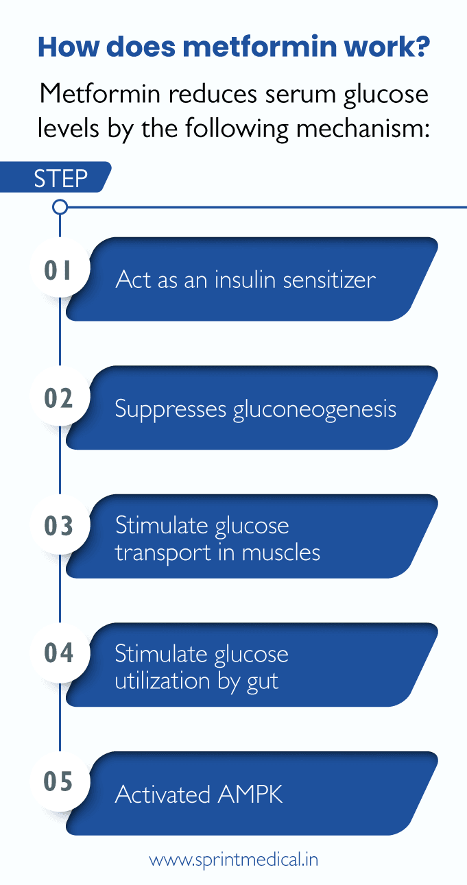 How does metformin work?