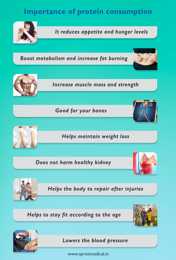 Importance of protein consumption