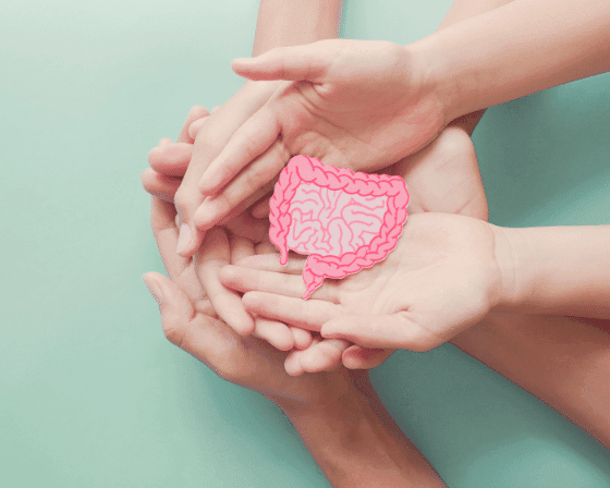 Olive Oil helps in promoting gut health