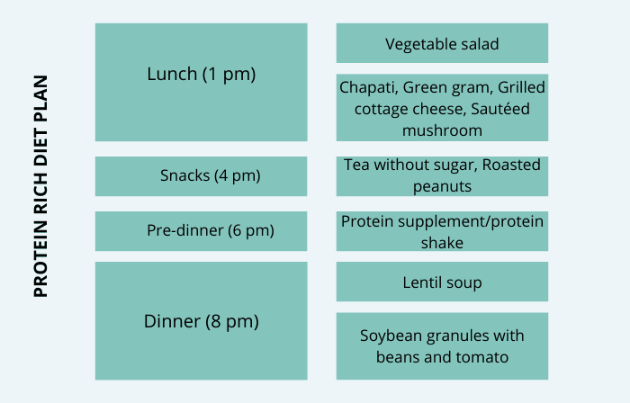PROTEIN RICH DIET PLAN 2