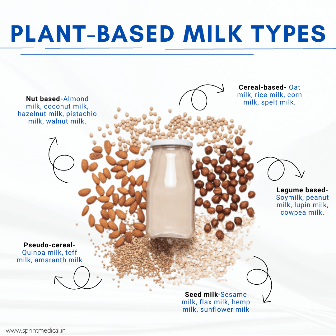Plant-Based Milk Types