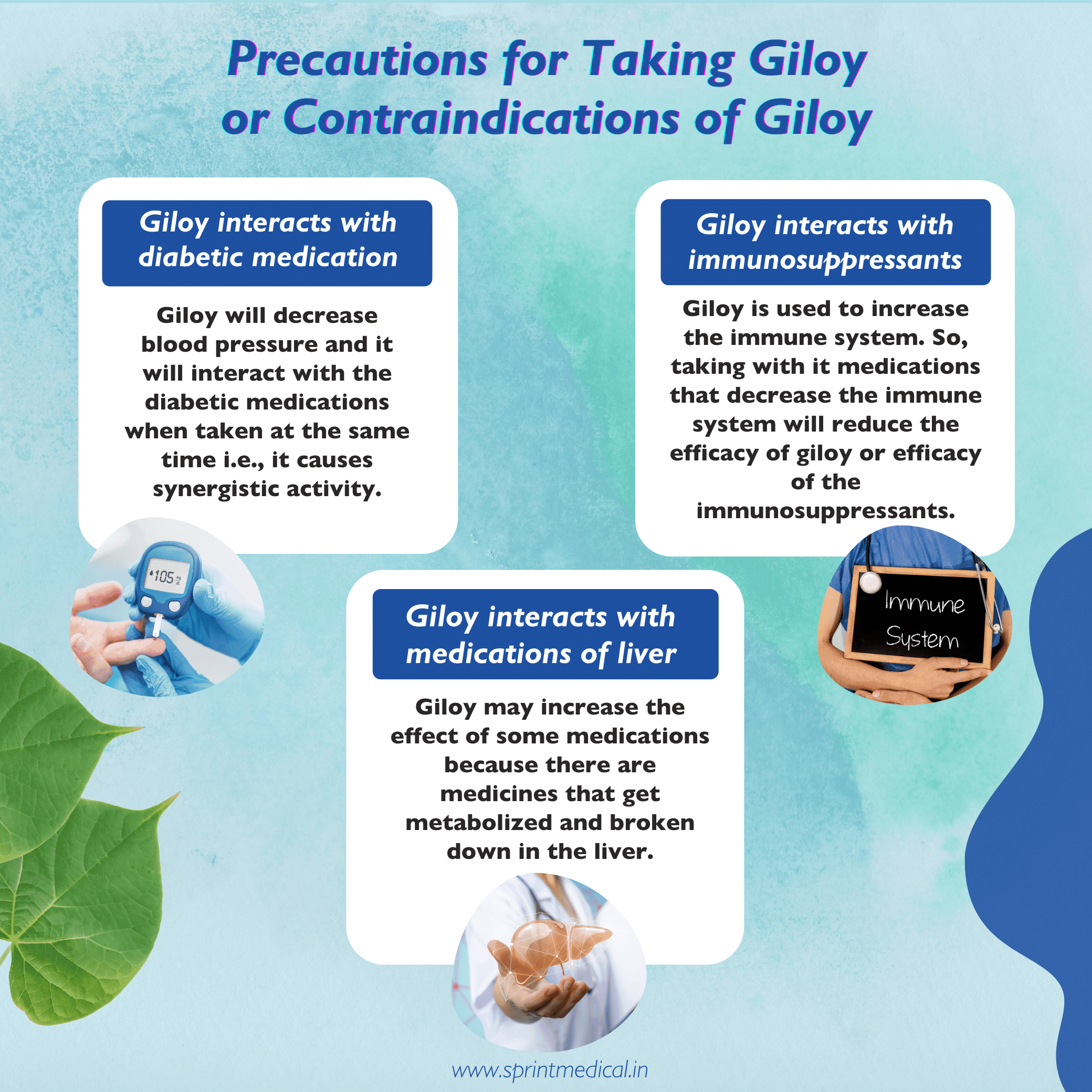 Precautions for Taking Giloy or Contraindications of Giloy