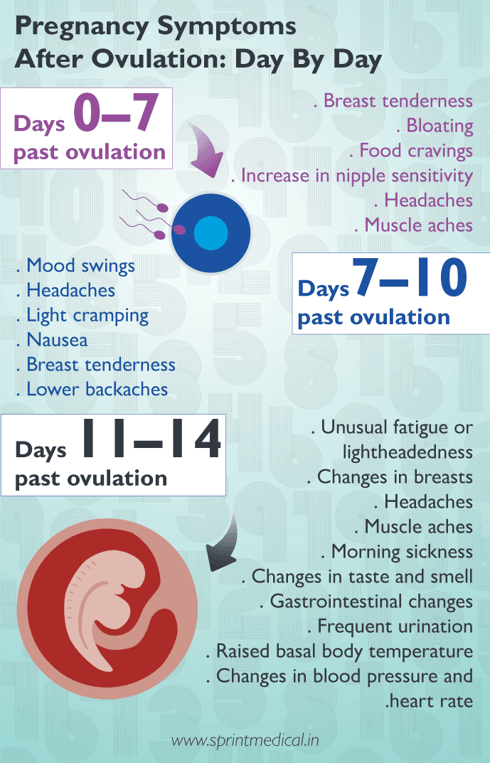 Pregnancy Symptoms After Ovulation