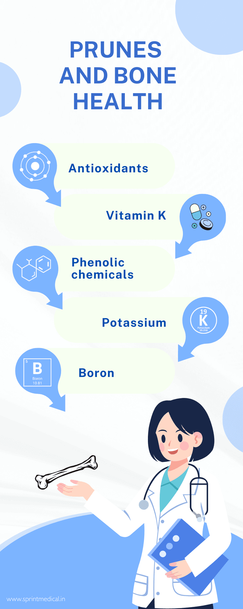 Prunes and bone health