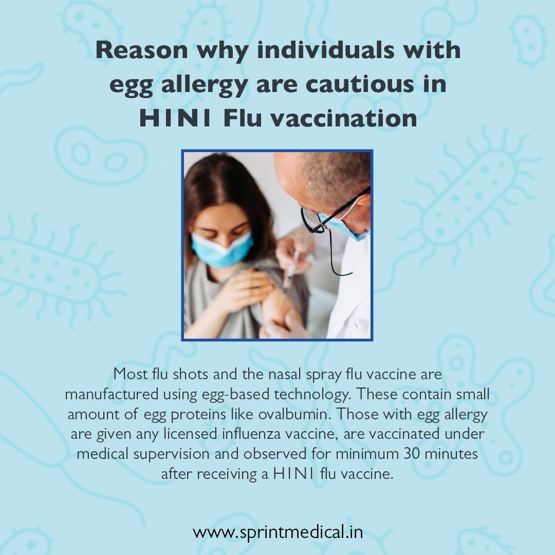 Reason why individuals with egg allergy are cautious in H1N1 Flu
