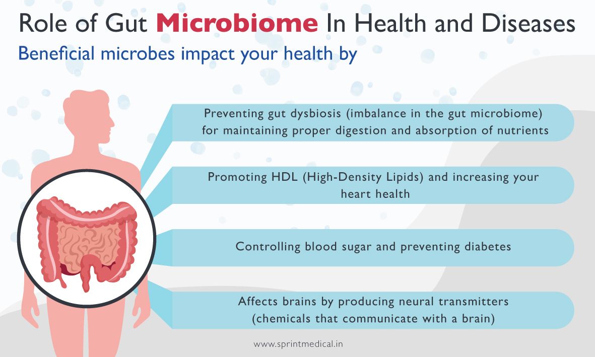Role of Gut Microbiome In Health and Diseases