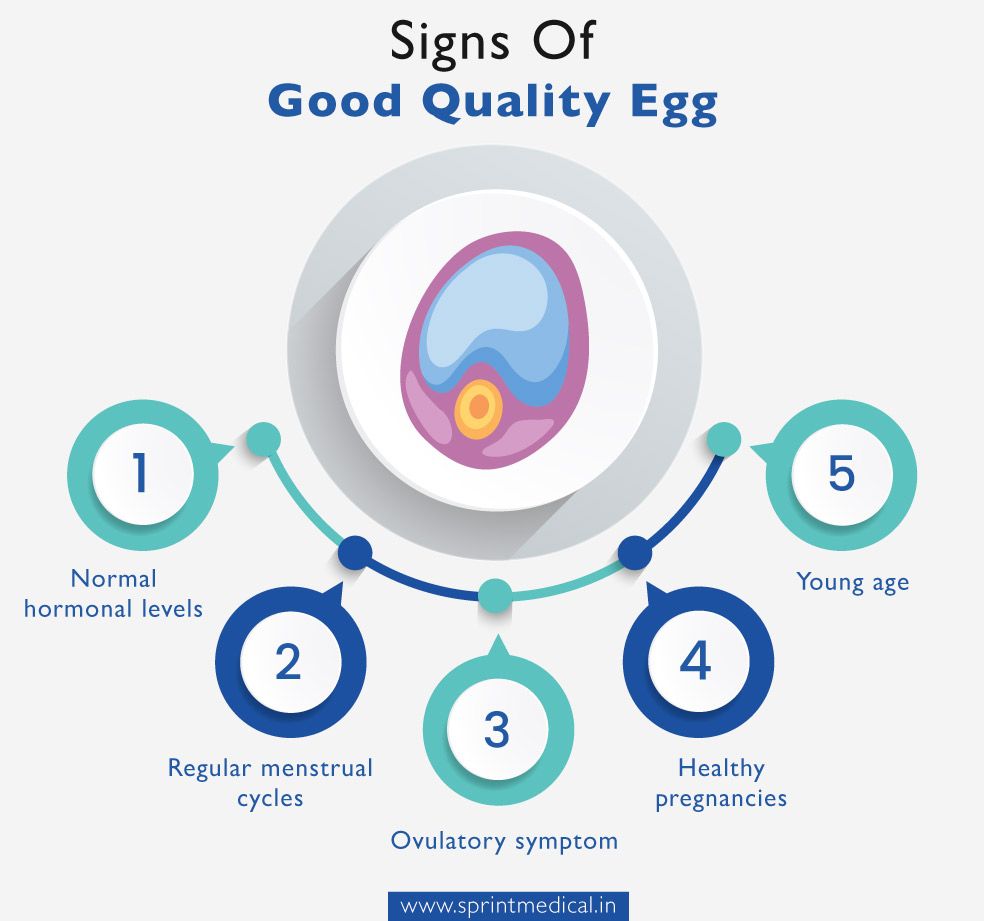 Signs Of Good Quality Egg