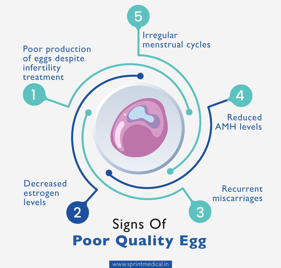 Signs Of Poor Quality Egg