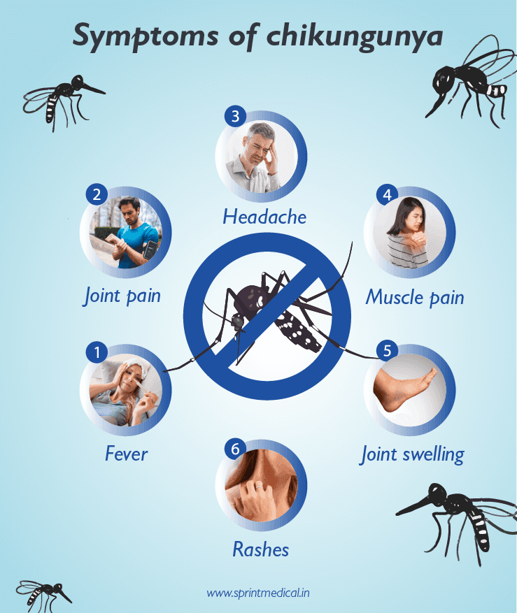 Symptoms of chikungunya