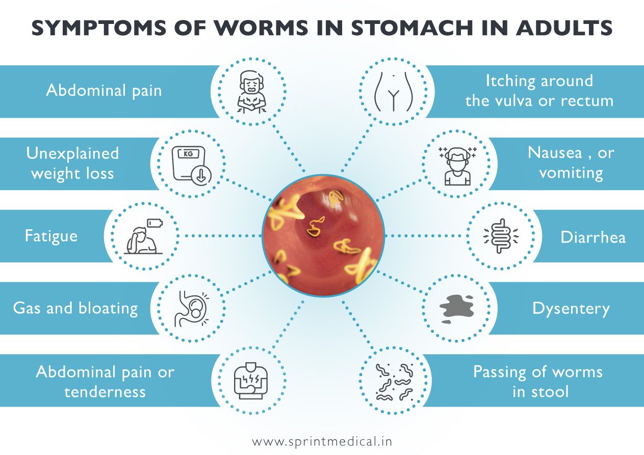 Symptoms-of-worms-in-stomach-in-adults