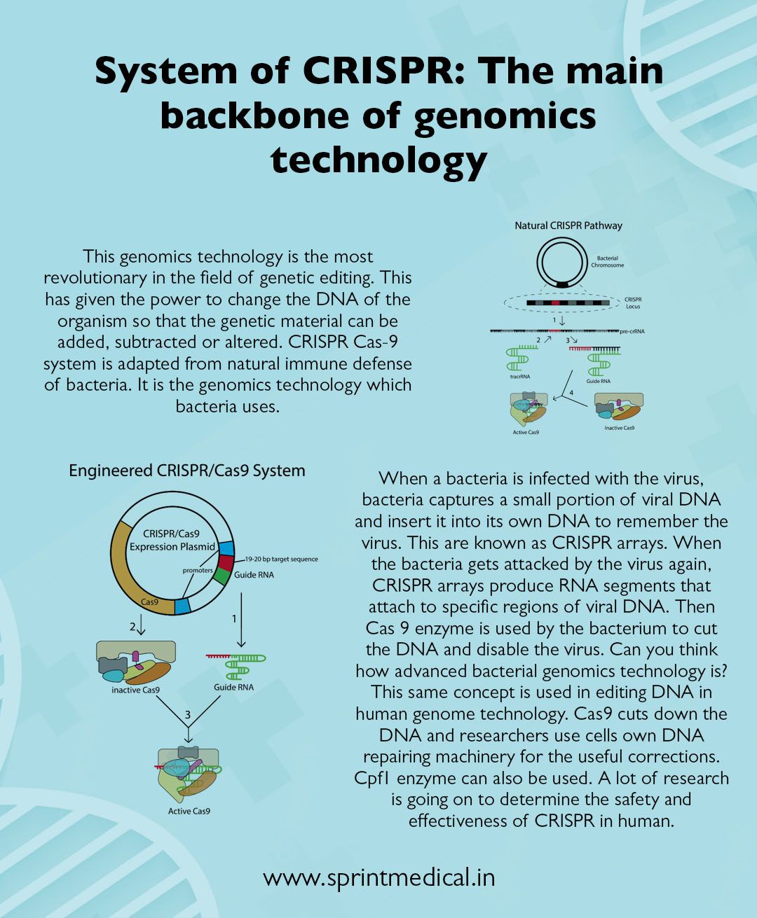 System of CRISPR