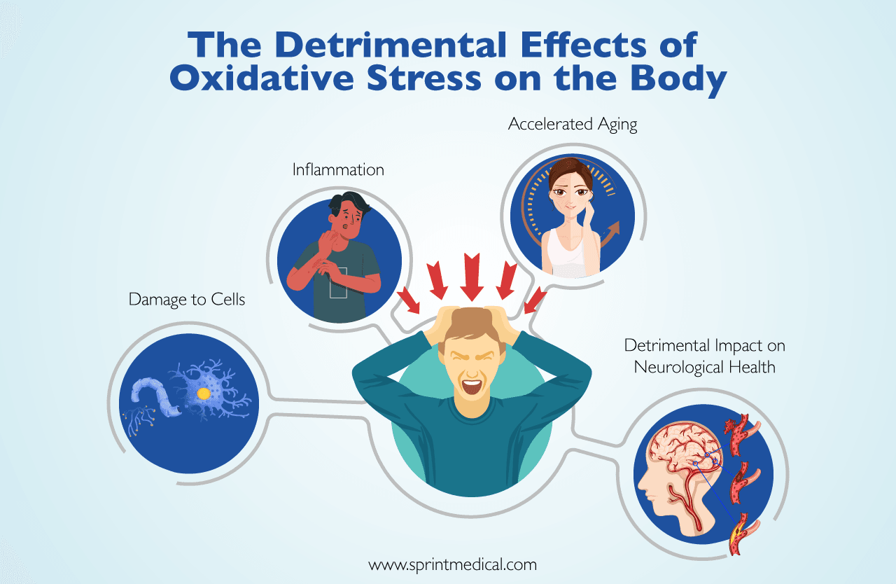 The Detrimental Effects of Oxidative Stress on the Body
