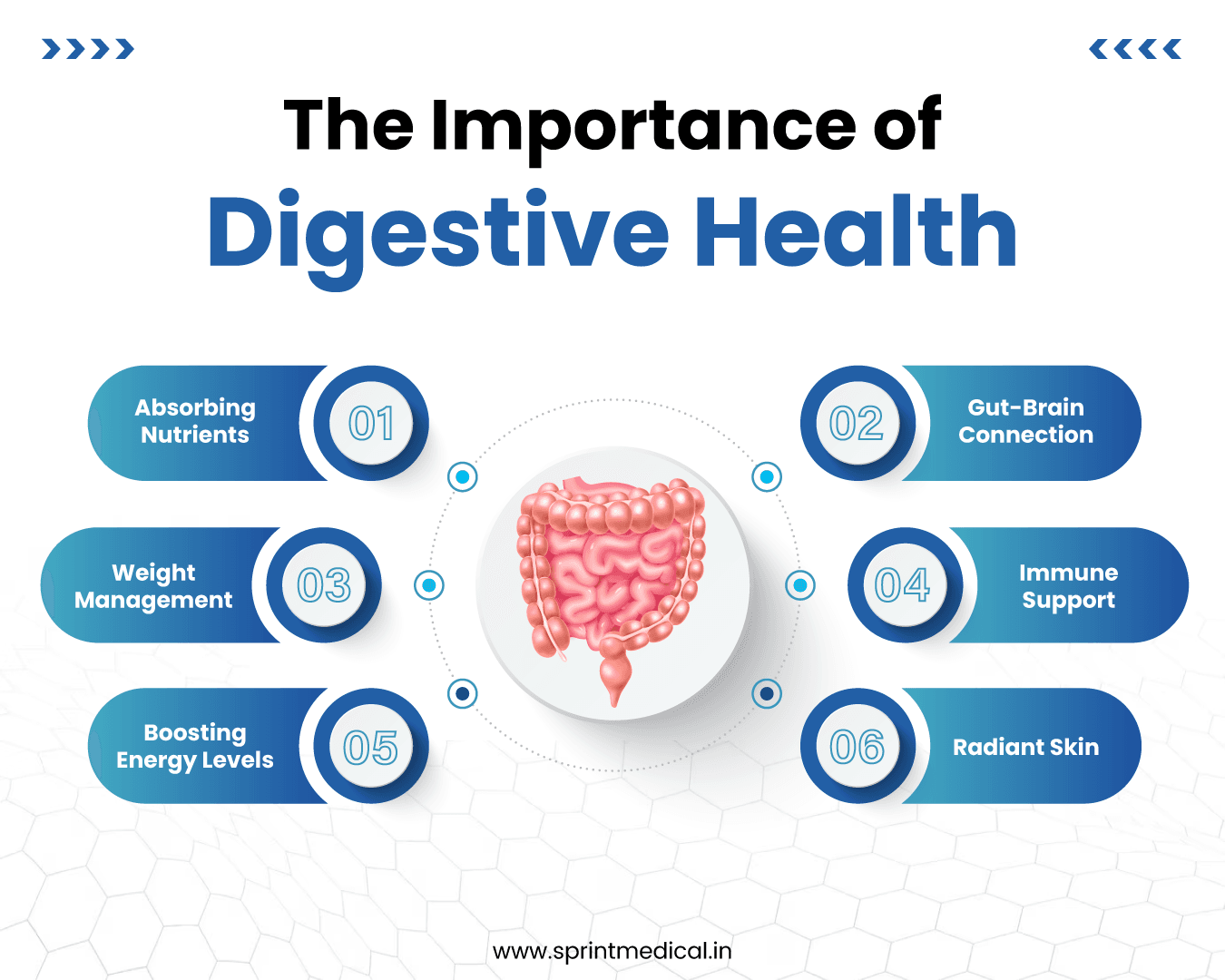 The Importance of Digestive Health