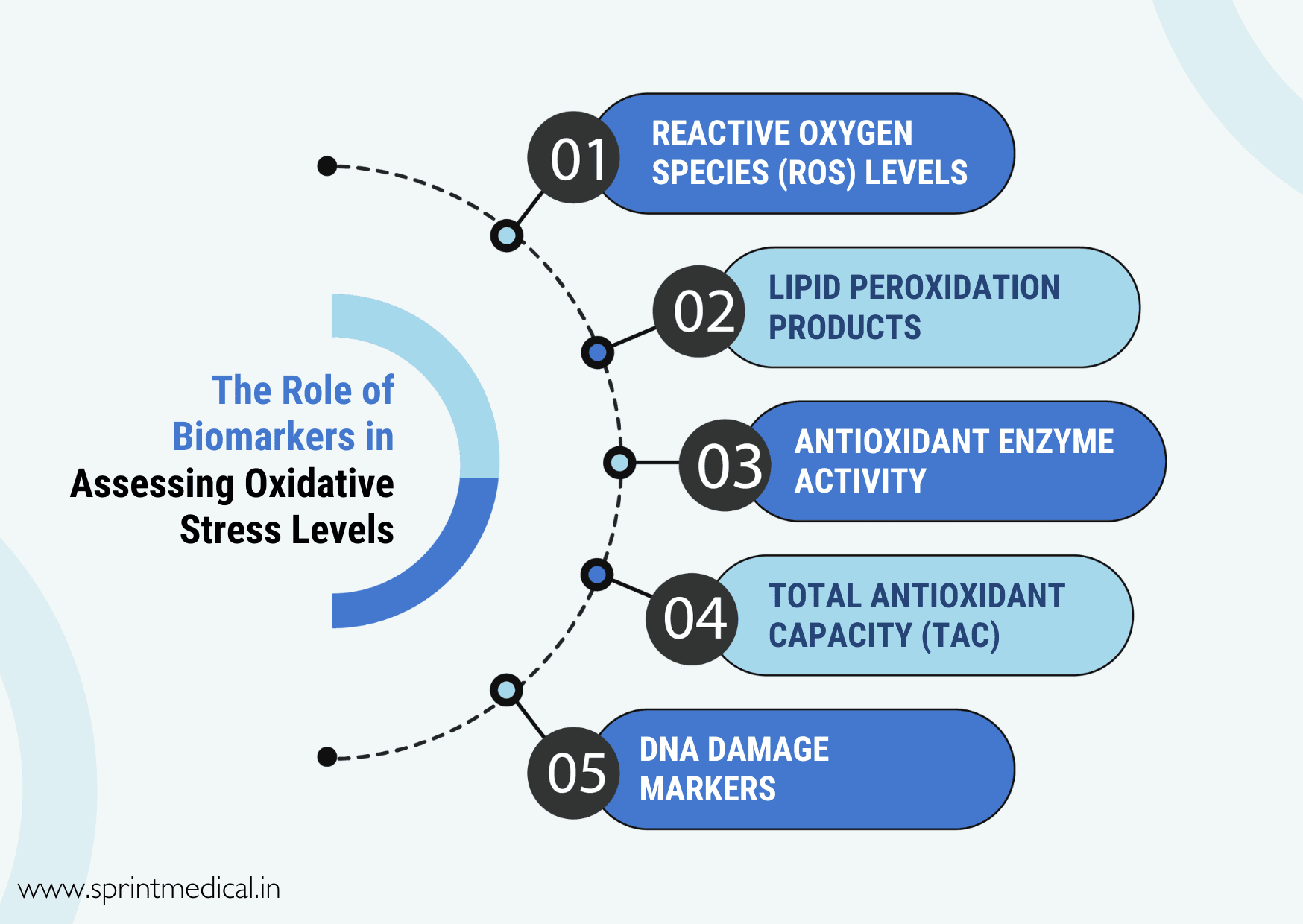 The Role of Biomarkers in Assessing Oxidative Stress Levels