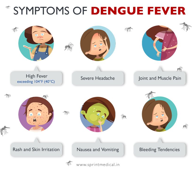 The symptoms of dengue fever