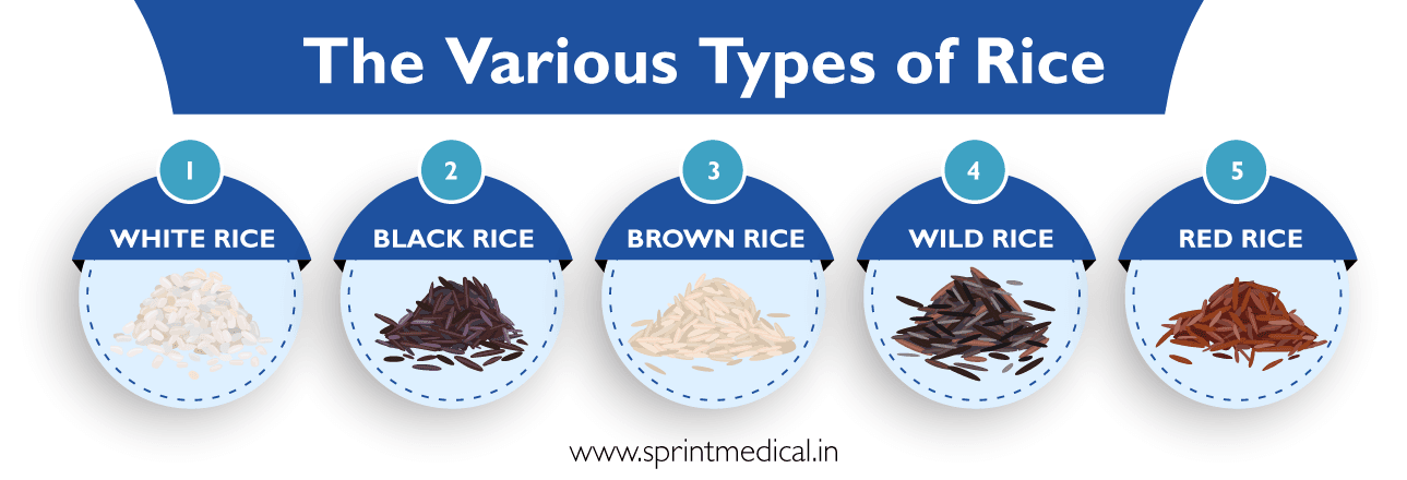 The various Types of Rice
