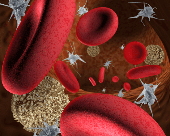 Types of Blood Cells