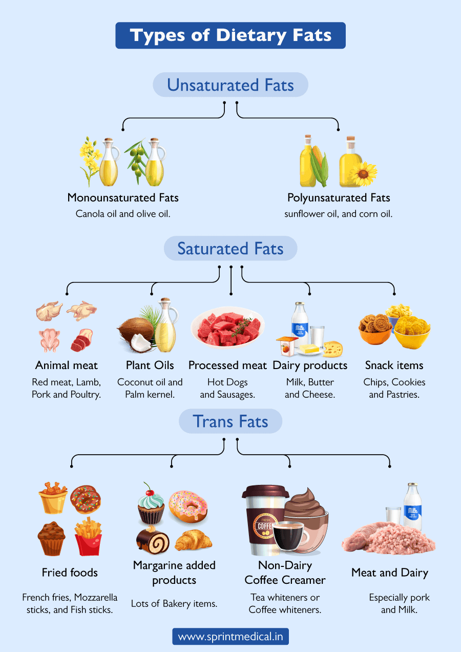 Types of Dietary Fats